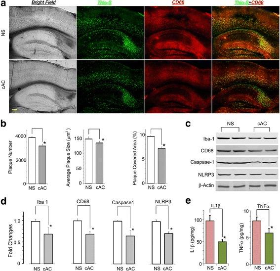 https://cdn.ncbi.nlm.nih.gov/pmc/blobs/d9f1/5639602/4a43dc8e7fdb/12974_2017_972_Fig5_HTML.jpg