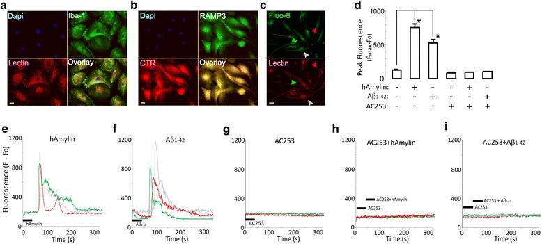 https://cdn.ncbi.nlm.nih.gov/pmc/blobs/d9f1/5639602/4e7b7b16eb17/12974_2017_972_Fig1_HTML.jpg