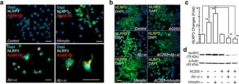 https://cdn.ncbi.nlm.nih.gov/pmc/blobs/d9f1/5639602/838178ae71f6/12974_2017_972_Fig3_HTML.jpg