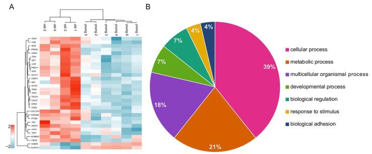 https://cdn.ncbi.nlm.nih.gov/pmc/blobs/d9f2/8225046/7017dbe0fa01/cells-10-01306-g003.jpg