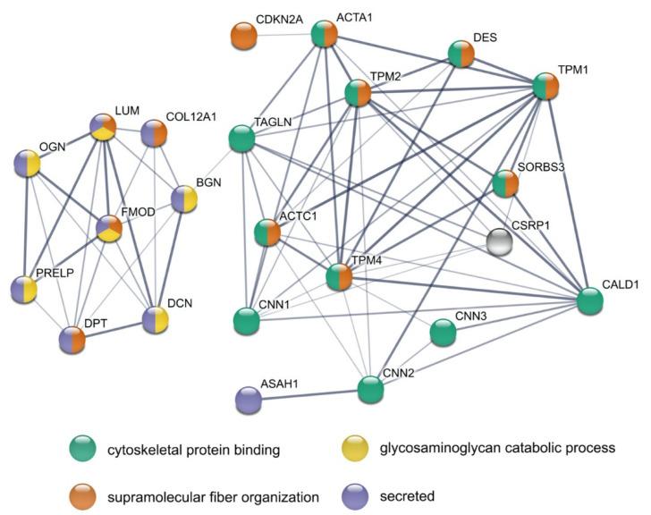 https://cdn.ncbi.nlm.nih.gov/pmc/blobs/d9f2/8225046/7a692f95fbcc/cells-10-01306-g005.jpg