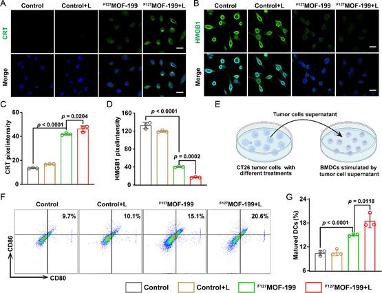 https://cdn.ncbi.nlm.nih.gov/pmc/blobs/d9f5/11935246/830e440bfd55/SMSC-4-2300164-g005.jpg