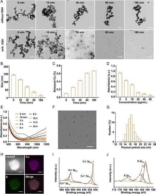 https://cdn.ncbi.nlm.nih.gov/pmc/blobs/d9f5/11935246/a8d84c8589b4/SMSC-4-2300164-g009.jpg