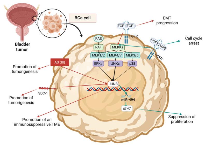 https://cdn.ncbi.nlm.nih.gov/pmc/blobs/d9f5/12469021/de170ca7d60f/cimb-47-00741-g004.jpg