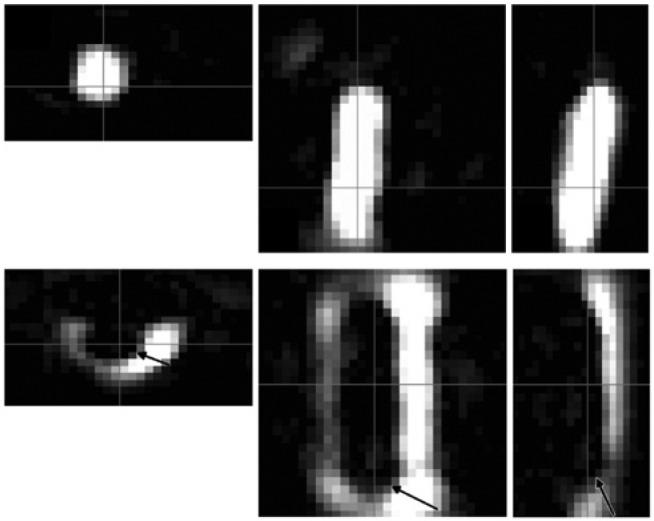https://cdn.ncbi.nlm.nih.gov/pmc/blobs/d9f8/6604583/0e5734fec5fc/iss-3-20182026-g006.jpg