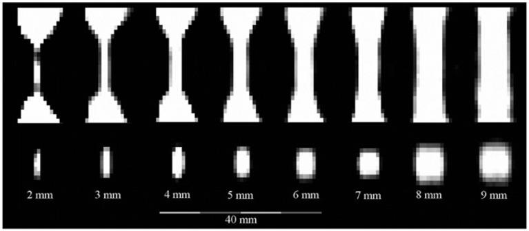 https://cdn.ncbi.nlm.nih.gov/pmc/blobs/d9f8/6604583/b65fefe8cafc/iss-3-20182026-g008.jpg