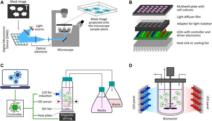 https://cdn.ncbi.nlm.nih.gov/pmc/blobs/d9f8/9213687/9115645fddfb/fbioe-10-918917-g003.jpg