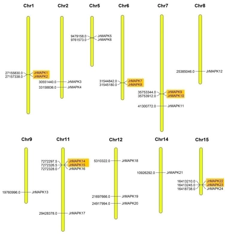 https://cdn.ncbi.nlm.nih.gov/pmc/blobs/d9f8/9920740/5b1c96bad3ff/plants-12-00586-g004.jpg