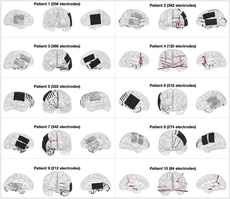 https://cdn.ncbi.nlm.nih.gov/pmc/blobs/d9f9/11925122/9d48ae7ded98/gr3.jpg