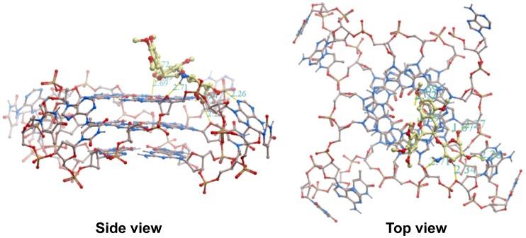 https://cdn.ncbi.nlm.nih.gov/pmc/blobs/d9fd/3545880/812b2887e2ab/pone.0053962.g005.jpg