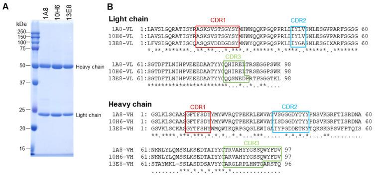 https://cdn.ncbi.nlm.nih.gov/pmc/blobs/d9fe/12196402/8f13b19c5088/pathogens-14-00605-g003.jpg
