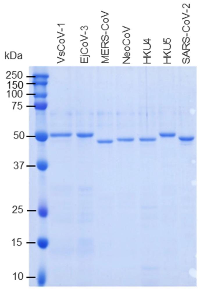 https://cdn.ncbi.nlm.nih.gov/pmc/blobs/d9fe/12196402/9620b764752c/pathogens-14-00605-g002.jpg
