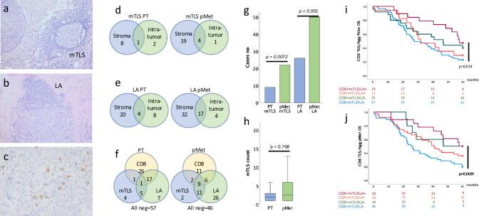 https://cdn.ncbi.nlm.nih.gov/pmc/blobs/d9ff/11699021/e4be39651eb1/262_2024_3911_Fig1_HTML.jpg