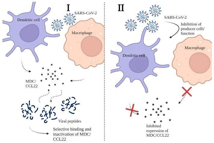https://cdn.ncbi.nlm.nih.gov/pmc/blobs/da03/10487728/3676cf1e7cc1/ijms-24-13083-g001.jpg