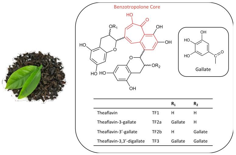 https://cdn.ncbi.nlm.nih.gov/pmc/blobs/da03/7917939/2e84410e63fe/molecules-26-00987-g001.jpg