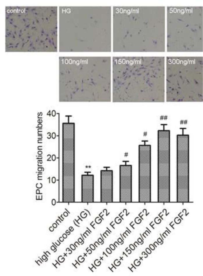 https://cdn.ncbi.nlm.nih.gov/pmc/blobs/da03/8586578/6d91733414a9/gr3.jpg
