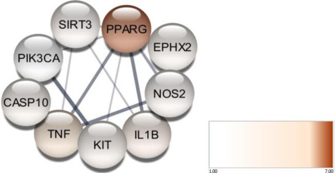 https://cdn.ncbi.nlm.nih.gov/pmc/blobs/da06/12059822/a612af7d6c89/NarraJ-5-e1185-g004.jpg