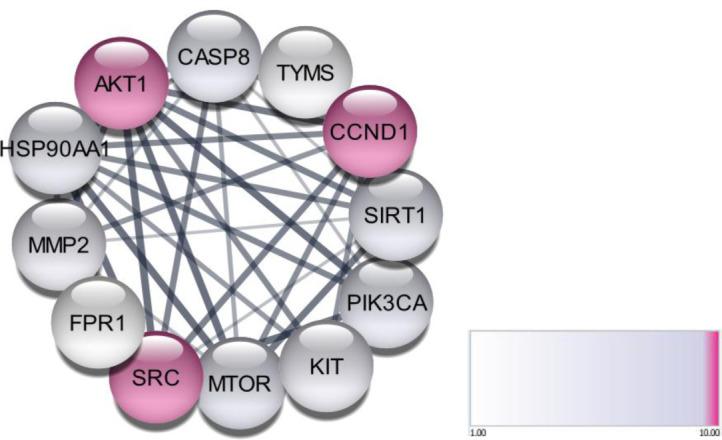 https://cdn.ncbi.nlm.nih.gov/pmc/blobs/da06/12059822/c2a68950806c/NarraJ-5-e1185-g002.jpg