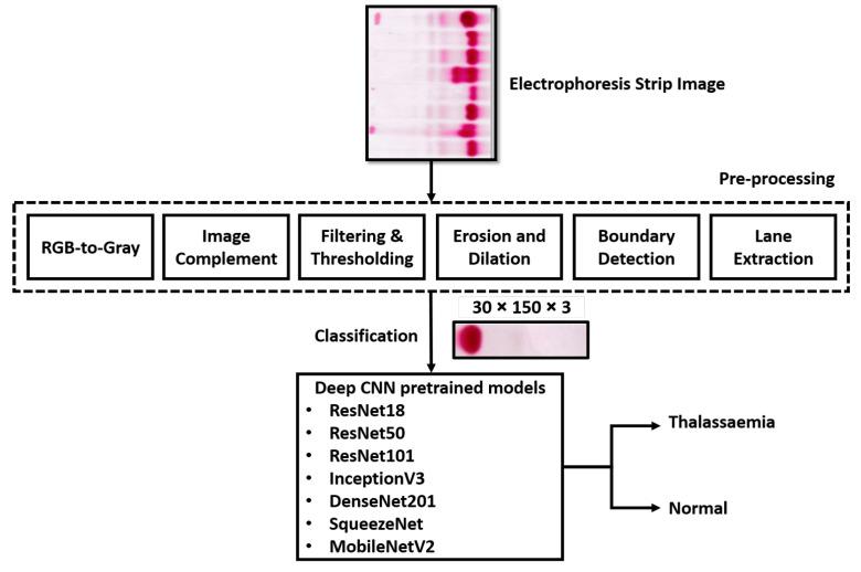 https://cdn.ncbi.nlm.nih.gov/pmc/blobs/da06/9600204/a64294e8e310/diagnostics-12-02405-g003.jpg