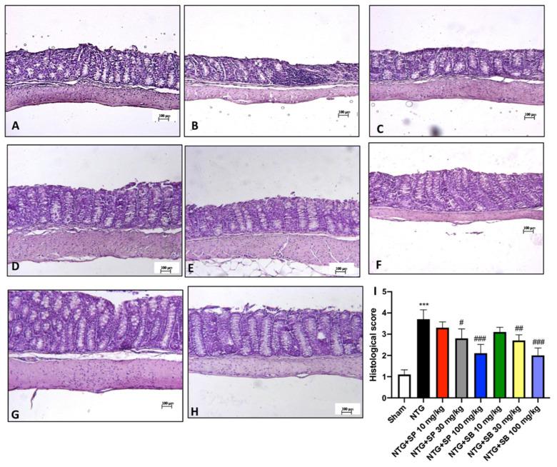 https://cdn.ncbi.nlm.nih.gov/pmc/blobs/da07/8535085/f4a16dd68f46/cells-10-02756-g004.jpg
