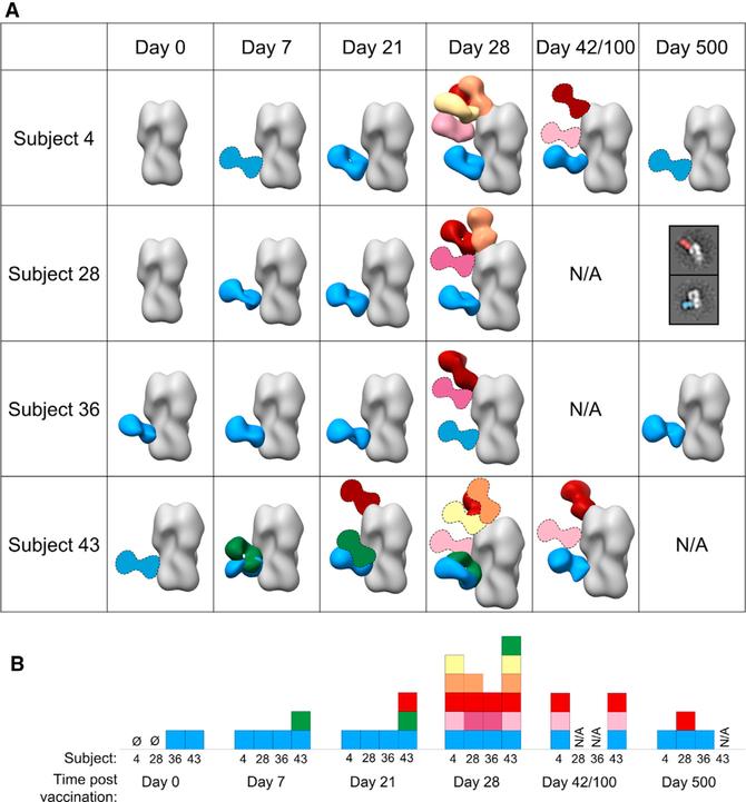 https://cdn.ncbi.nlm.nih.gov/pmc/blobs/da08/7888560/6ba85a338009/nihms-1667159-f0005.jpg