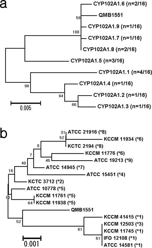 https://cdn.ncbi.nlm.nih.gov/pmc/blobs/da0a/3159907/77e06b7a7742/2191-0855-1-1-1.jpg