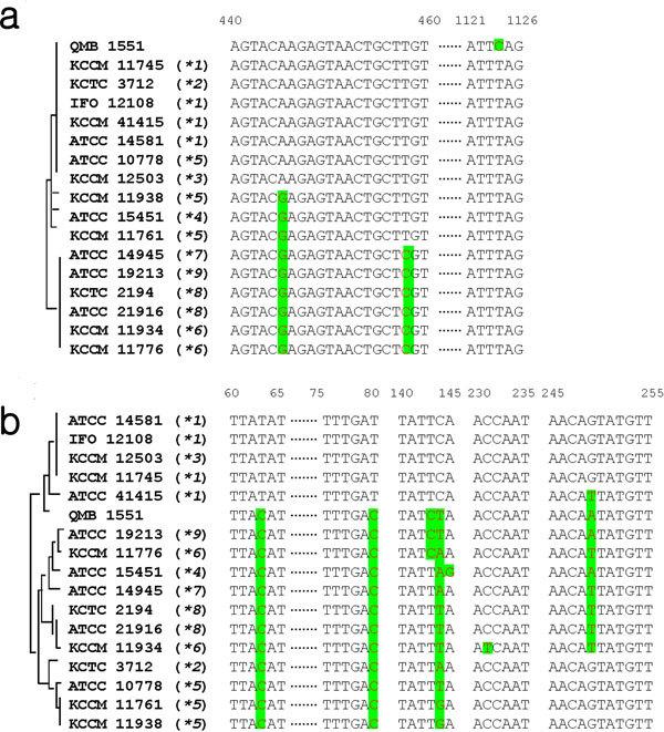 https://cdn.ncbi.nlm.nih.gov/pmc/blobs/da0a/3159907/8fad7f82c225/2191-0855-1-1-2.jpg