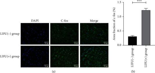 https://cdn.ncbi.nlm.nih.gov/pmc/blobs/da0a/9338851/2377e2d883e8/NP2022-6472475.003.jpg