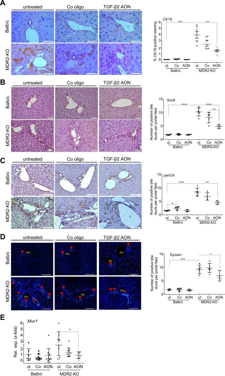 https://cdn.ncbi.nlm.nih.gov/pmc/blobs/da0d/7456737/91f1e4b47fcf/gutjnl-2019-319091f04.jpg