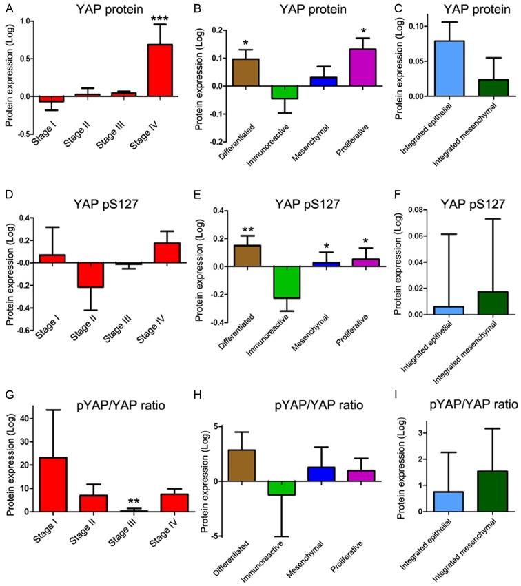 https://cdn.ncbi.nlm.nih.gov/pmc/blobs/da0f/5428545/2a96f5683776/OR-37-05-2620-g02.jpg