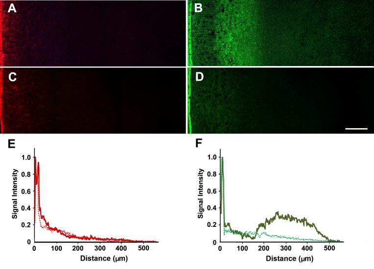 https://cdn.ncbi.nlm.nih.gov/pmc/blobs/da0f/9514545/346a46446d30/mv-v28-245-f4.jpg