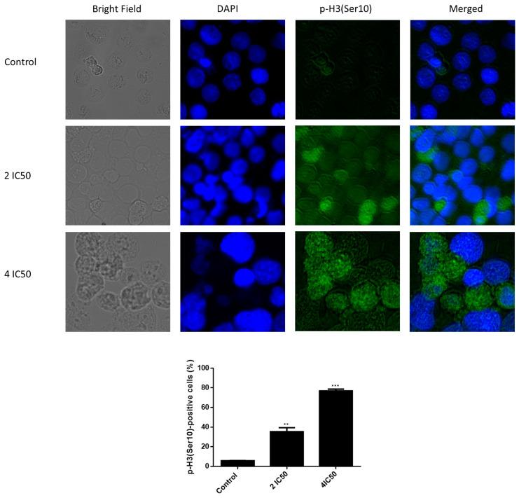 https://cdn.ncbi.nlm.nih.gov/pmc/blobs/da12/8617756/37d2c917e064/pharmaceuticals-14-01126-g011.jpg
