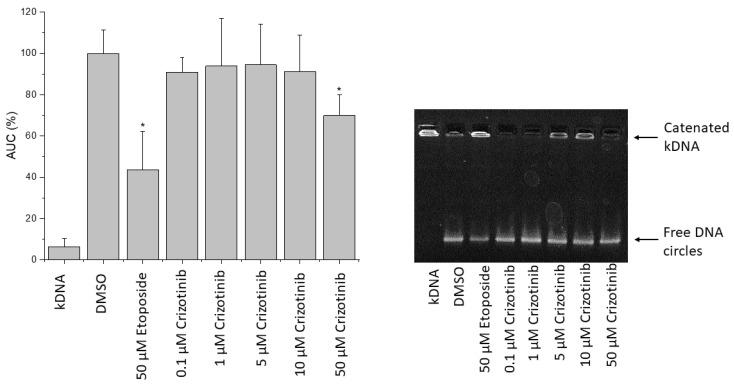 https://cdn.ncbi.nlm.nih.gov/pmc/blobs/da12/8617756/e1031076535c/pharmaceuticals-14-01126-g015.jpg