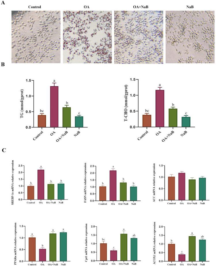 https://cdn.ncbi.nlm.nih.gov/pmc/blobs/da16/12269579/291bc37afeb2/gr2.jpg