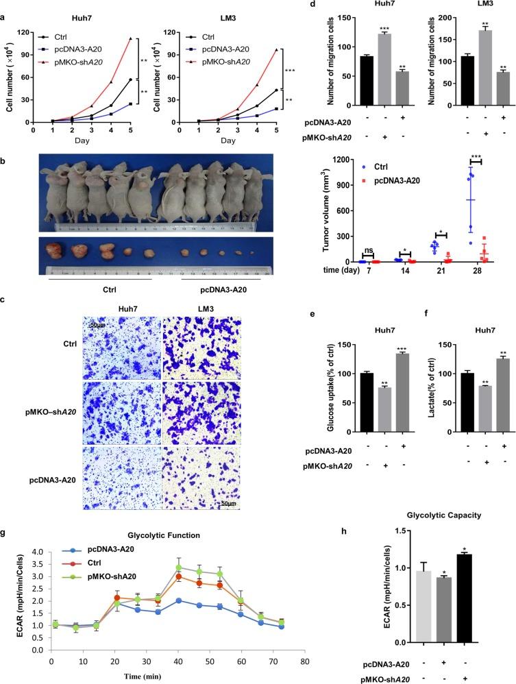 https://cdn.ncbi.nlm.nih.gov/pmc/blobs/da1e/6997366/a6f37eda175b/41419_2020_2278_Fig1_HTML.jpg