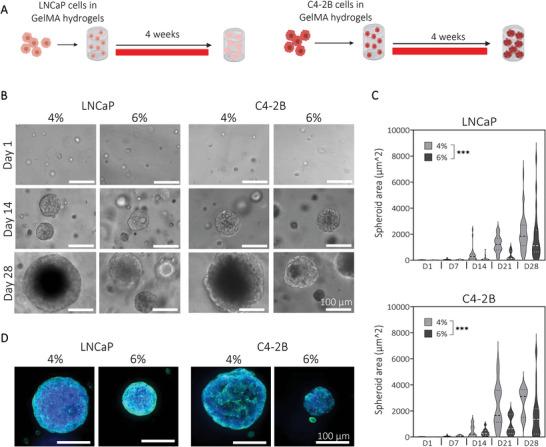 https://cdn.ncbi.nlm.nih.gov/pmc/blobs/da21/11469108/1f0ab60b6463/ADHM-12-2201701-g005.jpg