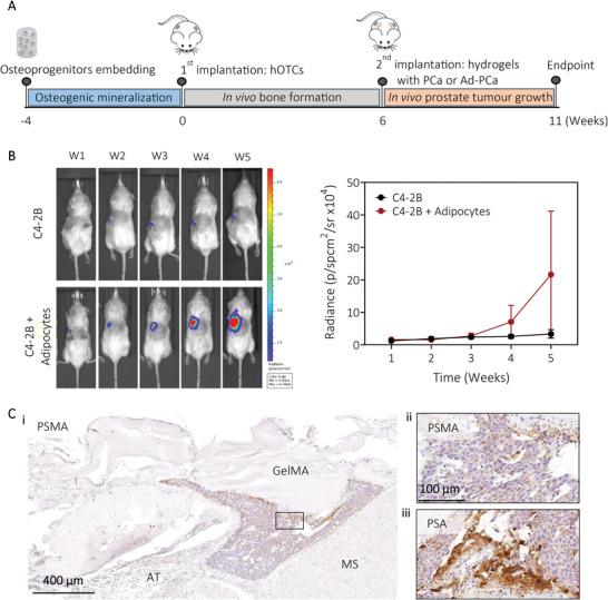 https://cdn.ncbi.nlm.nih.gov/pmc/blobs/da21/11469108/2e2ff0215bfa/ADHM-12-2201701-g003.jpg
