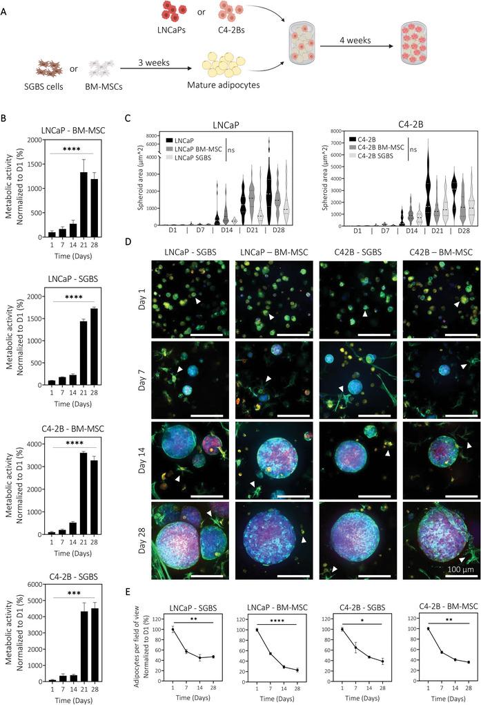 https://cdn.ncbi.nlm.nih.gov/pmc/blobs/da21/11469108/41e6d58b6f85/ADHM-12-2201701-g001.jpg