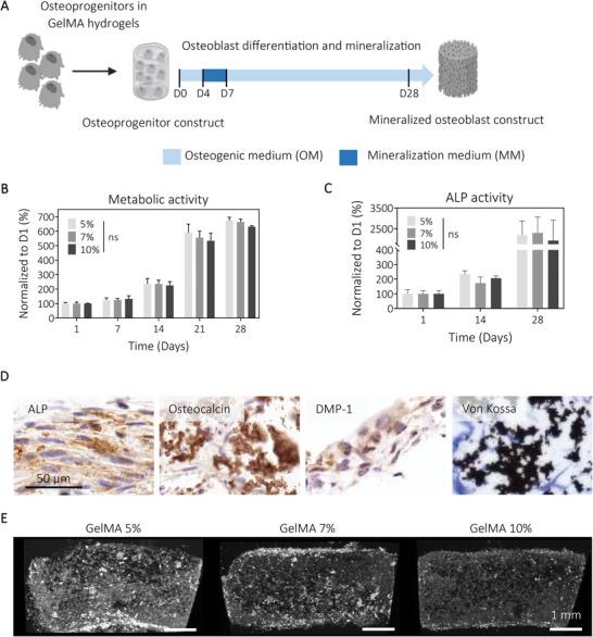 https://cdn.ncbi.nlm.nih.gov/pmc/blobs/da21/11469108/aa2afd61ce30/ADHM-12-2201701-g006.jpg
