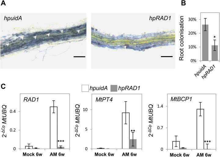 https://cdn.ncbi.nlm.nih.gov/pmc/blobs/da27/5854134/dadc3f0ba4c5/erx39803.jpg