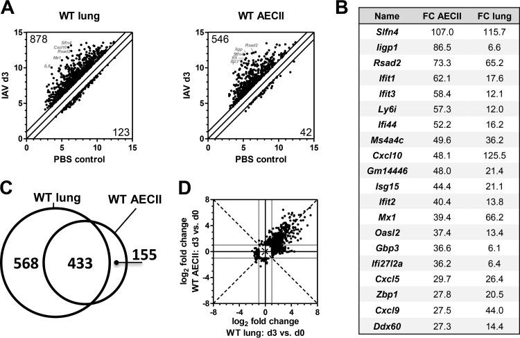https://cdn.ncbi.nlm.nih.gov/pmc/blobs/da28/4959657/7087242f0426/mbo0021627950001.jpg