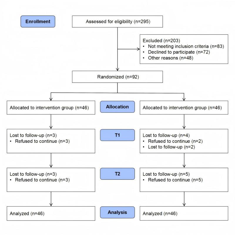 https://cdn.ncbi.nlm.nih.gov/pmc/blobs/da2a/12006777/17d39a9799e8/jmir_v27i1e65268_fig1.jpg
