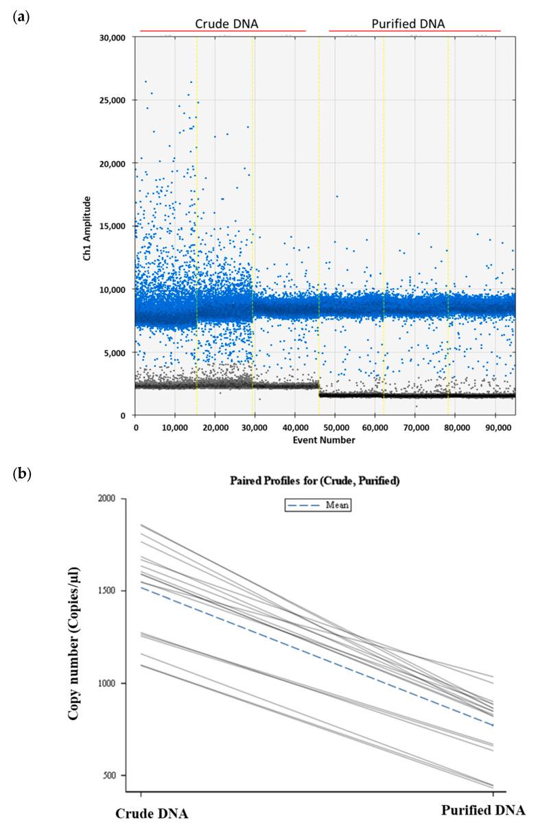 https://cdn.ncbi.nlm.nih.gov/pmc/blobs/da2b/10970607/e93ca7aadd35/ijms-25-03104-g002.jpg