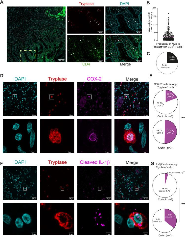 https://cdn.ncbi.nlm.nih.gov/pmc/blobs/da2b/12050418/871896d8d2d7/JIR-18-5851-g0007.jpg