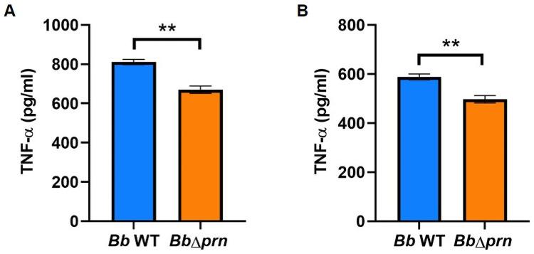 https://cdn.ncbi.nlm.nih.gov/pmc/blobs/da2d/8336816/770861ce8661/ppat.1009735.g005.jpg