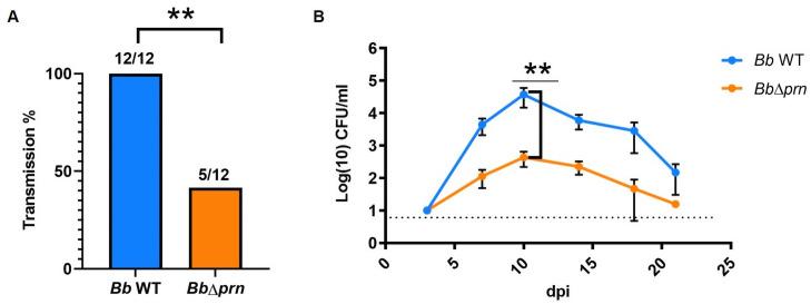 https://cdn.ncbi.nlm.nih.gov/pmc/blobs/da2d/8336816/a50315ef106e/ppat.1009735.g001.jpg