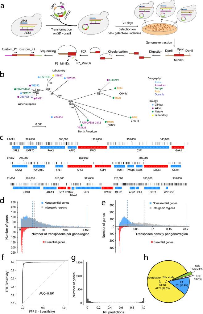 https://cdn.ncbi.nlm.nih.gov/pmc/blobs/da2d/8938418/1cf6a4c1631d/41467_2022_29228_Fig1_HTML.jpg