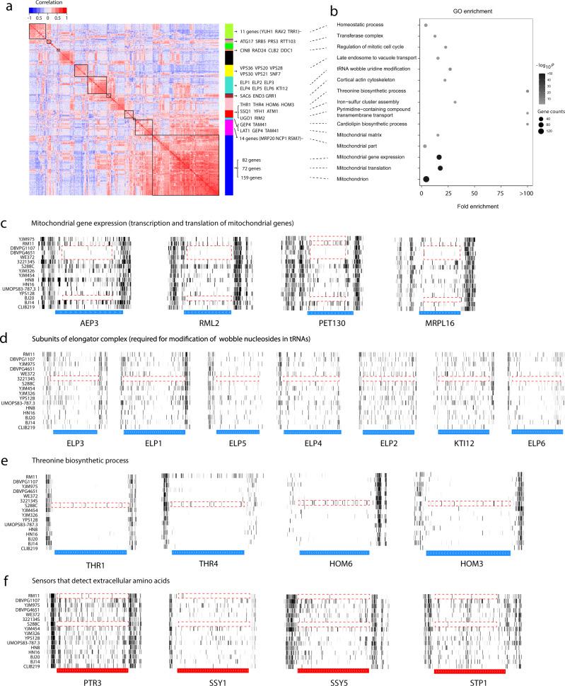 https://cdn.ncbi.nlm.nih.gov/pmc/blobs/da2d/8938418/862ec050ff9e/41467_2022_29228_Fig4_HTML.jpg