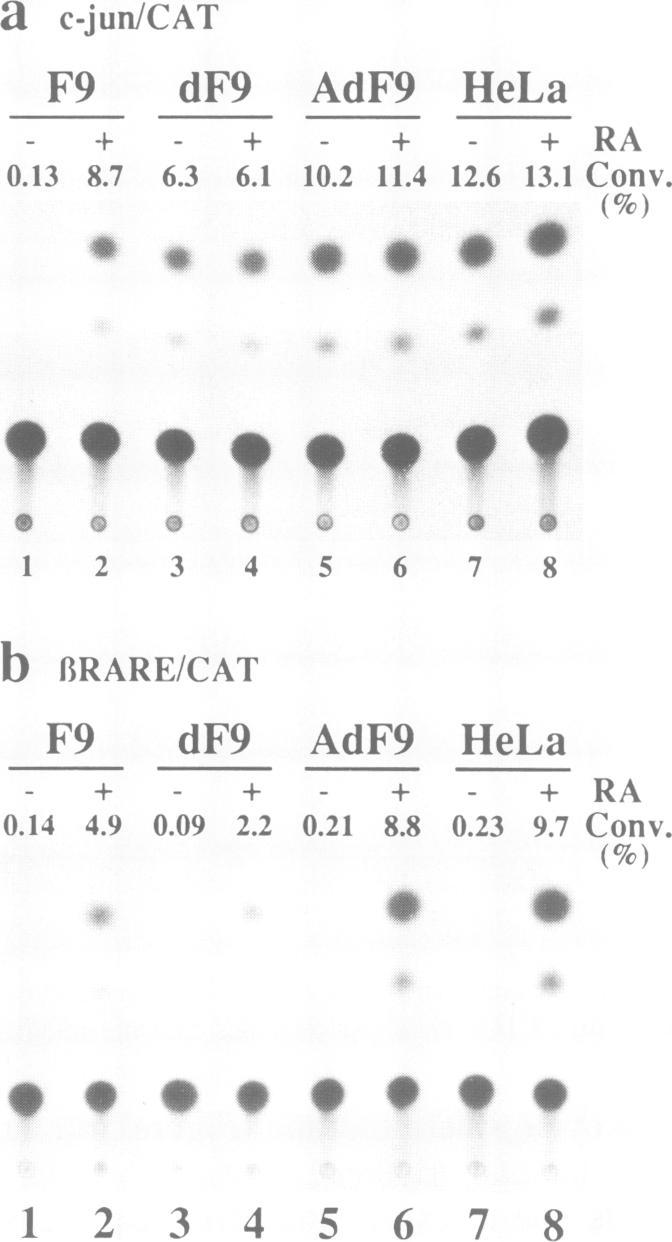 https://cdn.ncbi.nlm.nih.gov/pmc/blobs/da2f/556437/ad59e75e494d/emboj00086-0174-c.jpg