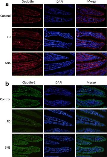 https://cdn.ncbi.nlm.nih.gov/pmc/blobs/da30/5577804/8b3a8e5ca1bc/12906_2017_1938_Fig4_HTML.jpg